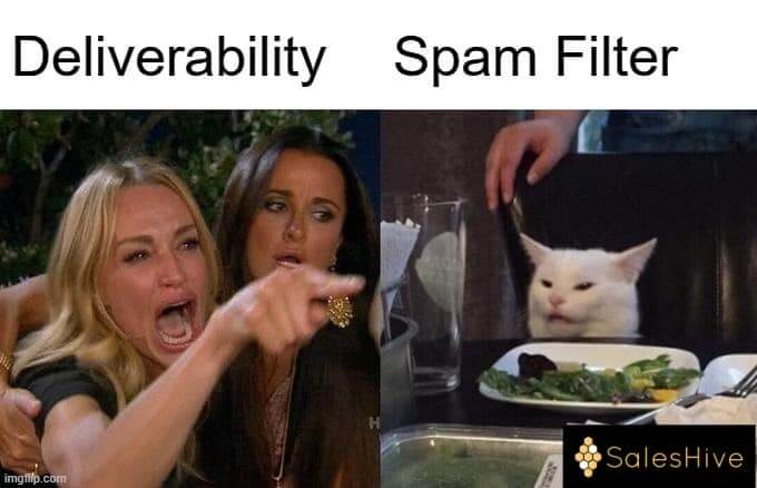 deliverability vs spam filter